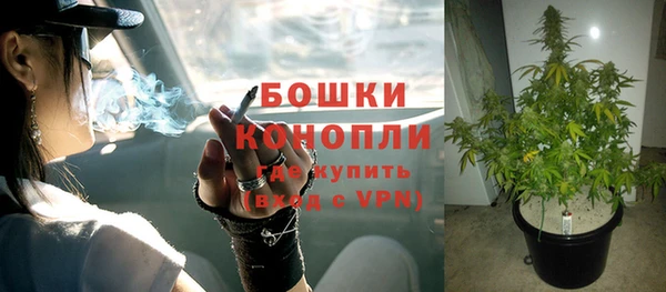 эйфоретик Белокуриха